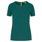 Vert foncé